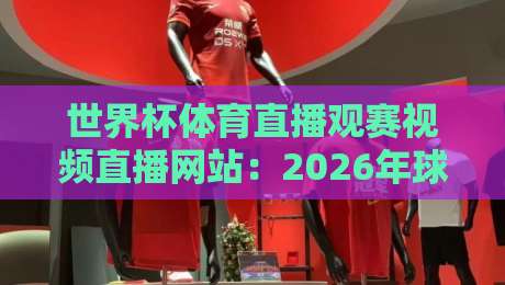 世界杯体育直播观赛视频直播网站：2026年球迷必备的观赛指南