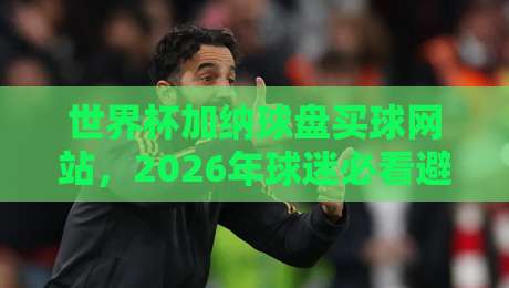 世界杯加纳球盘买球网站，2026年球迷必看避坑指南