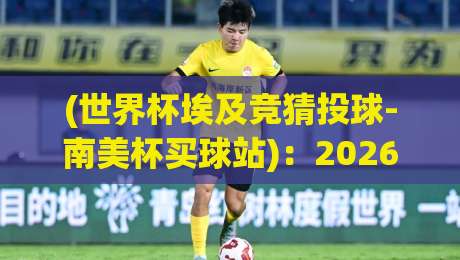 (世界杯埃及竞猜投球-南美杯买球站)：2026年南美杯的另类玩法与底层逻辑