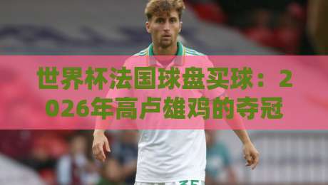 世界杯法国球盘买球：2026年高卢雄鸡的夺冠赔率与实战策略