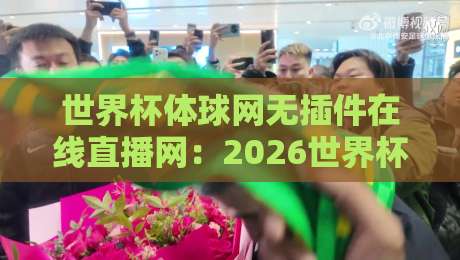 世界杯体球网无插件在线直播网：2026世界杯观赛新选择？