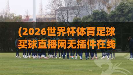 (2026世界杯体育足球买球直播网无插件在线直播网)：这届世界杯看球新姿势，你猜怎么着？