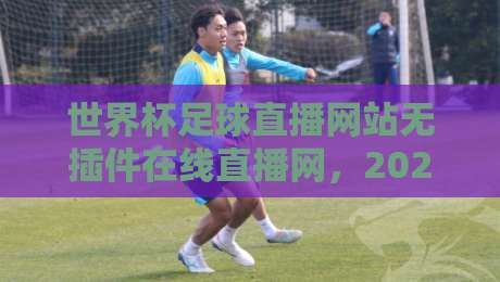 世界杯足球直播网站无插件在线直播网，2026球迷实测推荐（附避坑指南）
