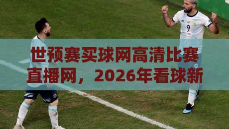 世预赛买球网高清比赛直播网，2026年看球新选择？