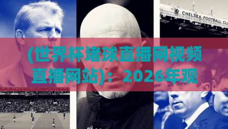 (世界杯堵球直播网视频直播网站)：2026年观赛指南，教你避开雷区！