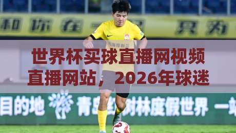 世界杯买球直播网视频直播网站，2026年球迷必看的五大观赛技巧