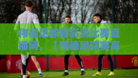 伟德足球赛高清比赛直播网，【伟德足球赛高清比赛直播网】体验沉浸式观赛新纪元