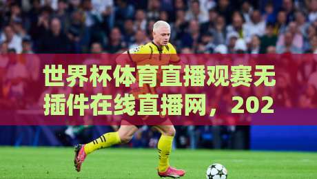 世界杯体育直播观赛无插件在线直播网，2026年球迷必备的观赛新姿势