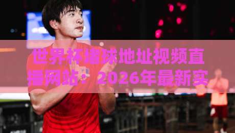 世界杯堵球地址视频直播网站：2026年最新实测靠谱平台推荐