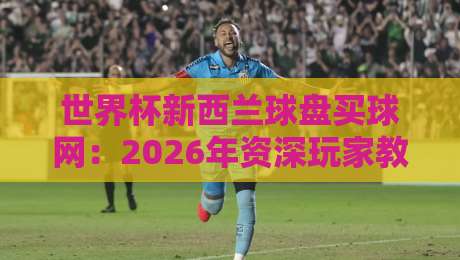 世界杯新西兰球盘买球网：2026年资深玩家教你避坑指南