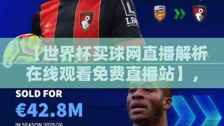 【世界杯买球网直播解析在线观看免费直播站】，2026年最强观赛平台大揭秘！