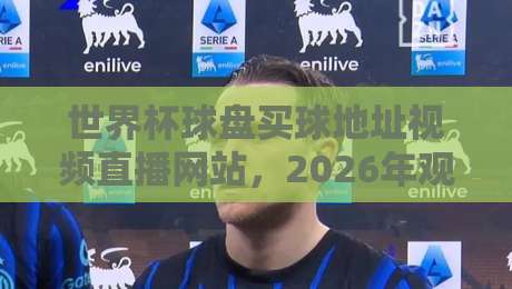 世界杯球盘买球地址视频直播网站，2026年观赛指南与实用避坑建议【世界杯球盘买球地址视频直播网站】全解析