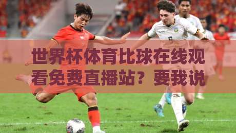 世界杯体育比球在线观看免费直播站？要我说，2026年看球就得这么整！