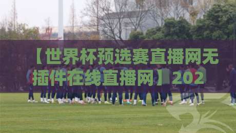 【世界杯预选赛直播网无插件在线直播网】2026观赛攻略，这些隐藏功能你用过吗？