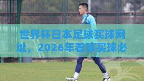 世界杯日本足球买球网址，2026年看球买球必读指南