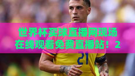 世界杯买球直播网现场在线观看免费直播站！2026年球迷必看的五大观赛体验