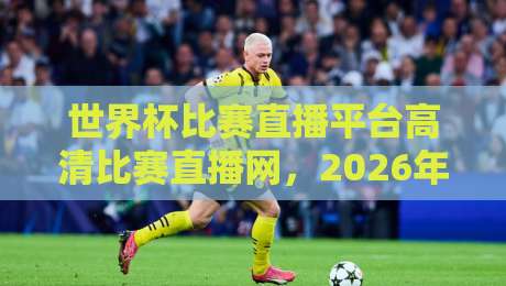 世界杯比赛直播平台高清比赛直播网，2026年看球首选（世界杯比赛直播平台高清比赛直播网）指南