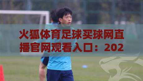 火狐体育足球买球网直播官网观看入口：2026最新观赛指南与实战技巧