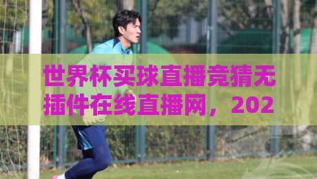 世界杯买球直播竞猜无插件在线直播网，2026年最新观赛与竞猜指南