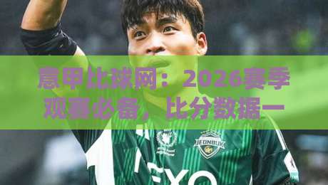 意甲比球网：2026赛季观赛必备，比分数据一网打尽