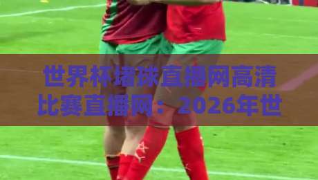 世界杯堵球直播网高清比赛直播网：2026年世界杯观赛最新选择与实用指南