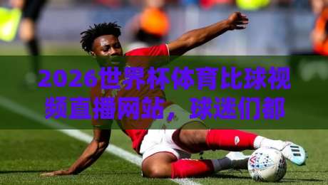 2026世界杯体育比球视频直播网站，球迷们都在这样看？