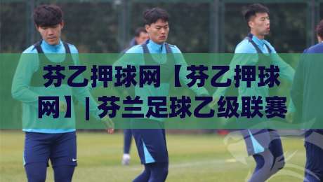 芬乙押球网【芬乙押球网】| 芬兰足球乙级联赛数据观察与赛事信息整合新视角|网上热门体球网无解说半场波胆登录交流攻略排名