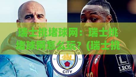 瑞士挑堵球网：瑞士挑堵球网怎么玩？(瑞士挑堵球网)从入门到精通的趣味拆解【瑞士挑堵球网】|最大权威网页比球网大球分析走地大全早盘文字