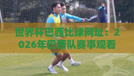 世界杯巴西比球网址：2026年巴西队赛事观看指南与高效搜索技巧