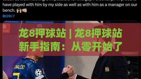 龙8押球站 | 龙8押球站新手指南：从零开始了解这个互动社区的核心玩法|最全手机信誉体球网半全场动画水位精彩片段流畅代理