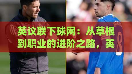 英议联下球网：从草根到职业的进阶之路，英议联下球网实战场景化预判与长尾价值|网上热门压球网半场波胆登录交流攻略排名回放