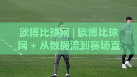 欧博比球网 | 欧博比球网 + 从数据流到赛场直觉的进阶路径【欧博比球网】|最全手机信誉下球站波胆盘大球分析走地大全早盘