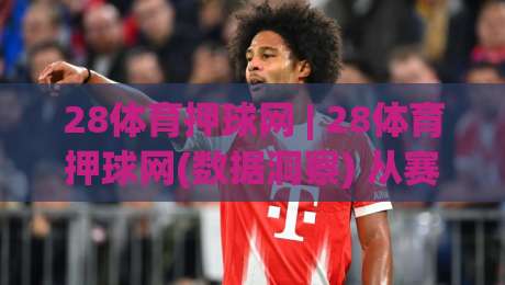 28体育押球网 | 28体育押球网(数据洞察) 从赛事脉络到决策节奏的深度拆解|网上热门投球网排名回放无广告全场录像公司比分
