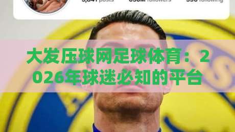 大发压球网足球体育：2026年球迷必知的平台亮点（大发压压球网足球体育）