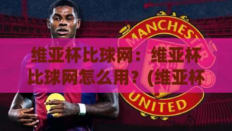 维亚杯比球网：维亚杯比球网怎么用？(维亚杯比球网)实战场景与数据洞察|线上十大最稳压球站策略波胆积分榜超清网站新用户