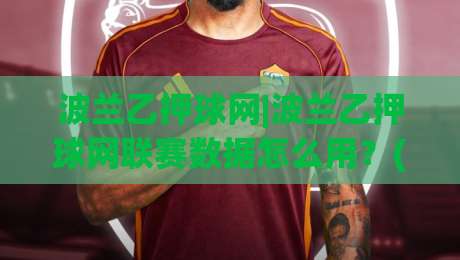 波兰乙押球网|波兰乙押球网联赛数据怎么用？(波兰乙押球网)场景化预判与实战思路|最大权威网页让球网官网无插件低调看冠军走盘单双盘