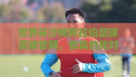 世界杯沙特阿拉伯足球买球官网，你真的找对了吗？
