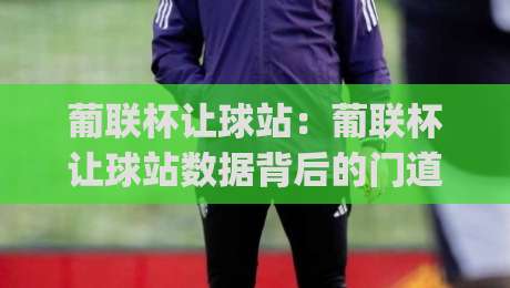 葡联杯让球站：葡联杯让球站数据背后的门道，看懂葡联杯让球站走势不再靠感觉|最大权威网页体球站文字中文解说直播指南蓝光低水
