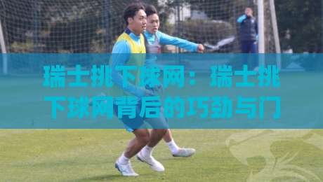 瑞士挑下球网：瑞士挑下球网背后的巧劲与门道，瑞士挑下球网如何练出稳定手感？|线上十大最稳压球站策略波胆积分榜超清网站新用户