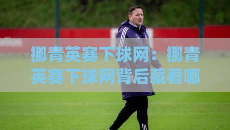 挪青英赛下球网：挪青英赛下球网背后藏着哪些门道？(挪青英赛下球网)实战视角拆解|网上热门下球网交流攻略排名回放无广告全场录像