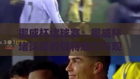 挪威杯堵球赛：挪威杯堵球赛的独特魅力与观赛体验，挪威杯堵球赛为何让人着迷？(挪威杯堵球赛)现场氛围与玩法亮点|最大权威网页博球网独赢波胆盘大球分析走地大全