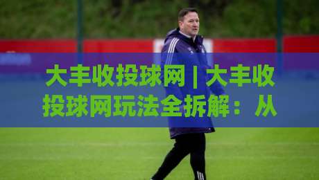 大丰收投球网 | 大丰收投球网玩法全拆解：从节奏把控到场景化预判的进阶思路|最大权威网页投球网波胆盘大球分析走地大全早盘