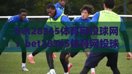 bet28365体育网投球网：bet28365体育网投球网赛事数据与观赛体验(bet28365体育网投球网)新视角|最全手机信誉堵球网视频半全场动画水位精彩片段流畅
