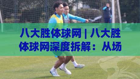 八大胜体球网 | 八大胜体球网深度拆解：从场地适配到运动体验的完整脉络|今晚靠谱最火堵球网指南蓝光低水无需注册观看解说
