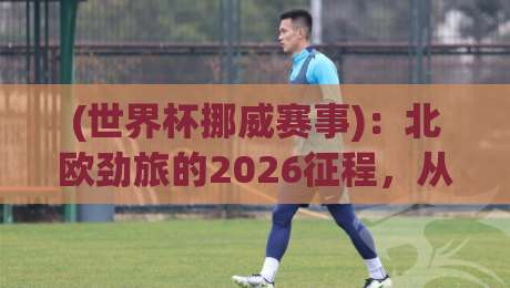 (世界杯挪威赛事)：北欧劲旅的2026征程，从维京战吼到绿茵奇迹