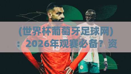 (世界杯葡萄牙足球网)：2026年观赛必备？资深球迷的独家攻略