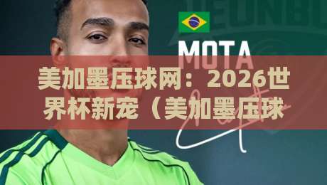 美加墨压球网：2026世界杯新宠（美加墨压球网）助力球队防守升级