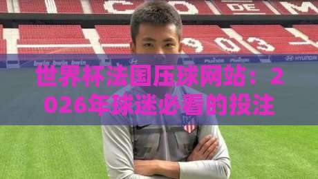 世界杯法国压球网站：2026年球迷必看的投注平台指南