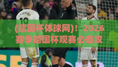 (德国杯体球网)！2026赛季德国杯观赛必备攻略，这几个功能你未必知道