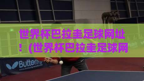 世界杯巴拉圭足球网址！(世界杯巴拉圭足球网址) 2026年看球必备的宝藏链接